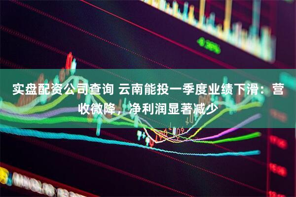 实盘配资公司查询 云南能投一季度业绩下滑：营收微降，净利润显著减少