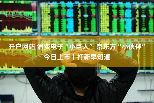 开户网站 消费电子“小巨人” 京东方“小伙伴”今日上市丨打新早知道
