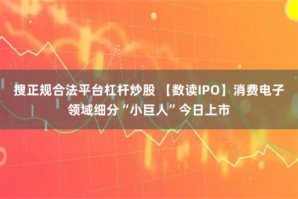搜正规合法平台杠杆炒股 【数读IPO】消费电子领域细分“小巨人”今日上市